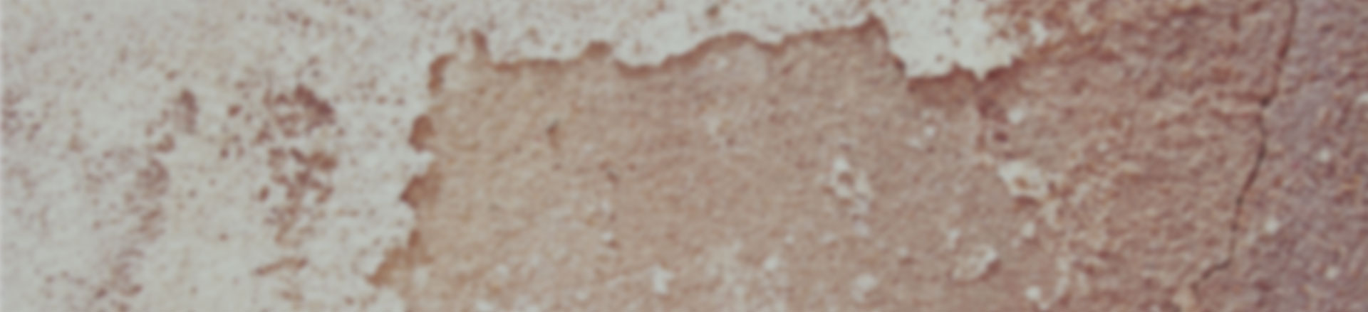 手机号轰炸平台